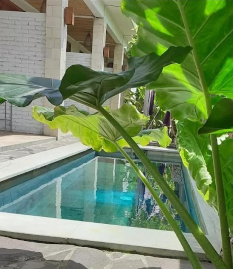 Surya Lombok Accommodation Selong Belanak Eksteriør billede