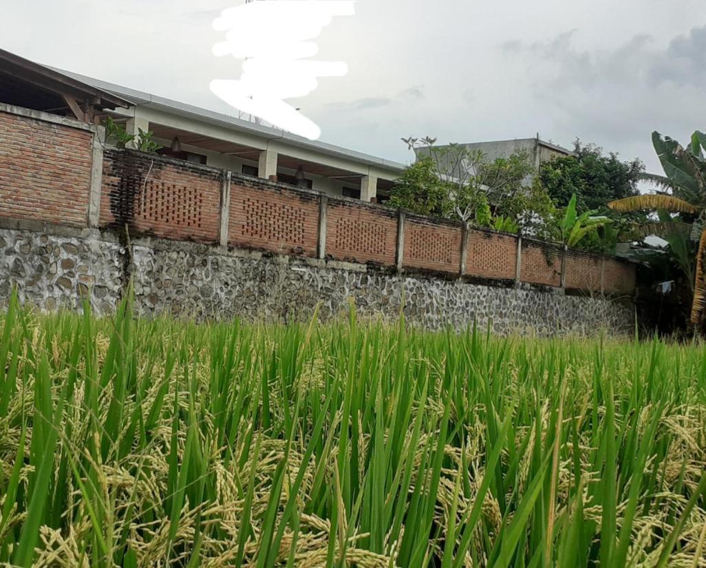 Surya Lombok Accommodation Selong Belanak Eksteriør billede