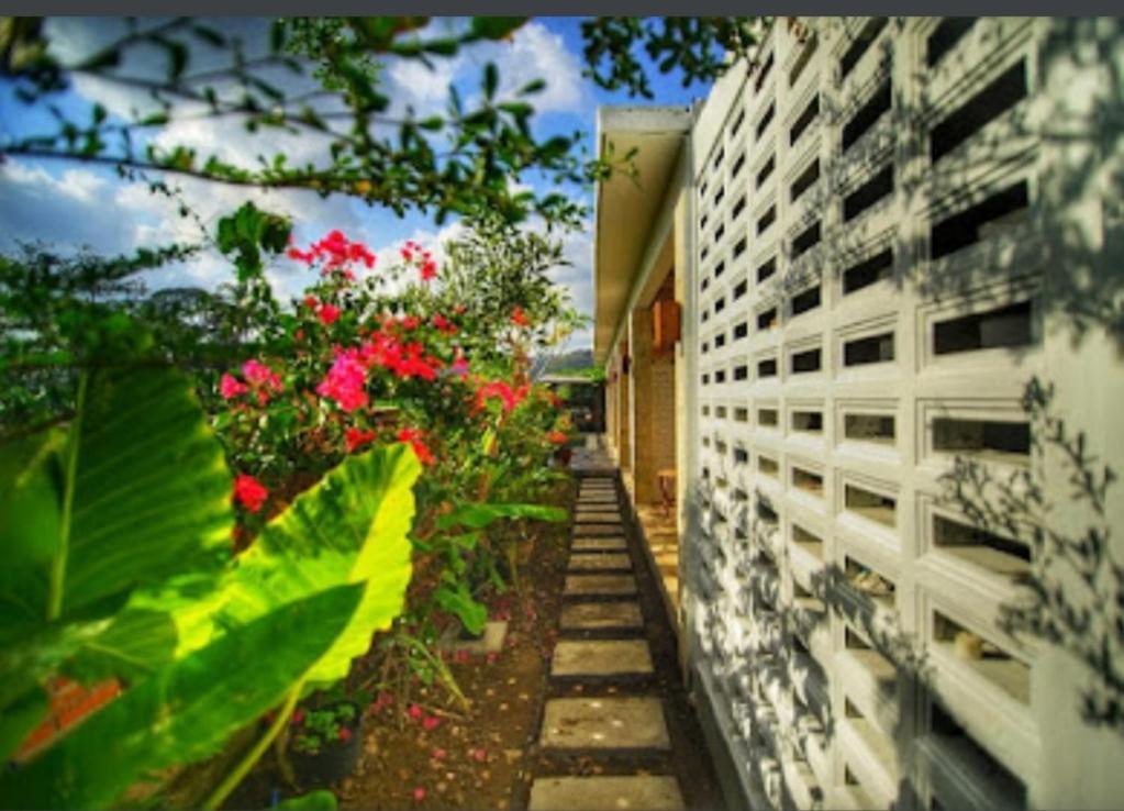 Surya Lombok Accommodation Selong Belanak Eksteriør billede